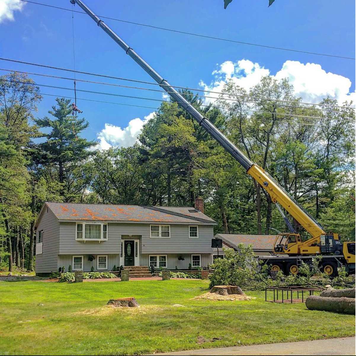 Turcotte Tree Service Image